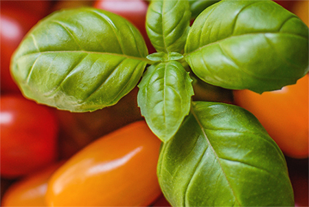 healthy-living-tomatoes